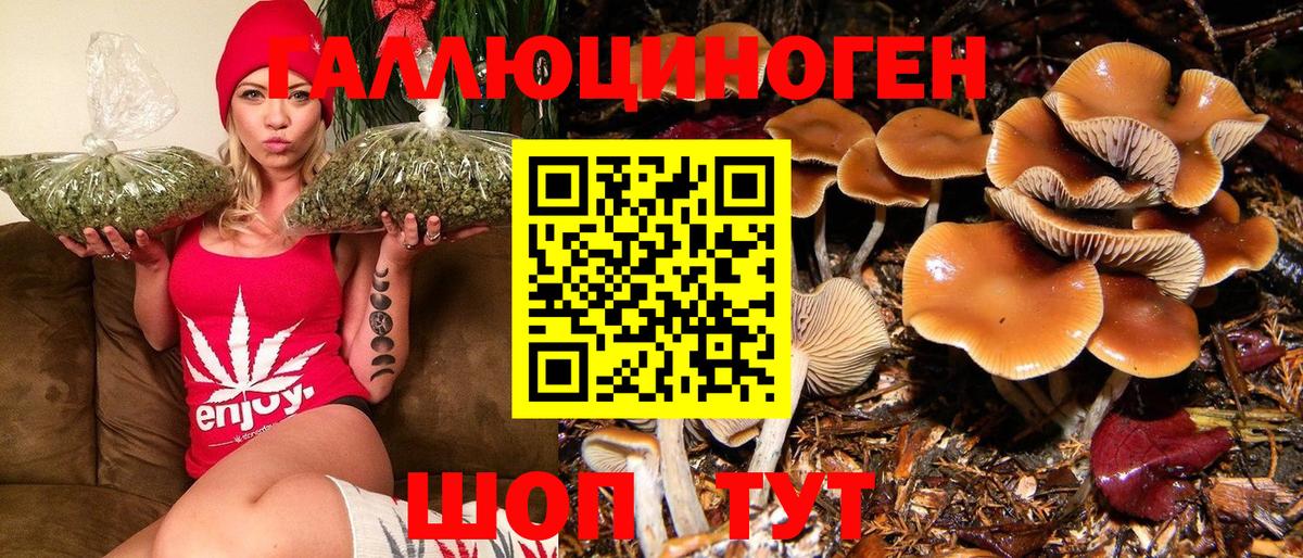 Обь  Псилоцибиновые грибы GOLDEN TEACHER  Вход с VPN 