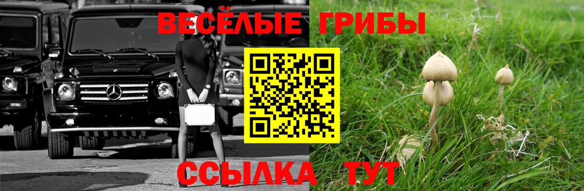 Галлюциногенные грибы мицелий Обь